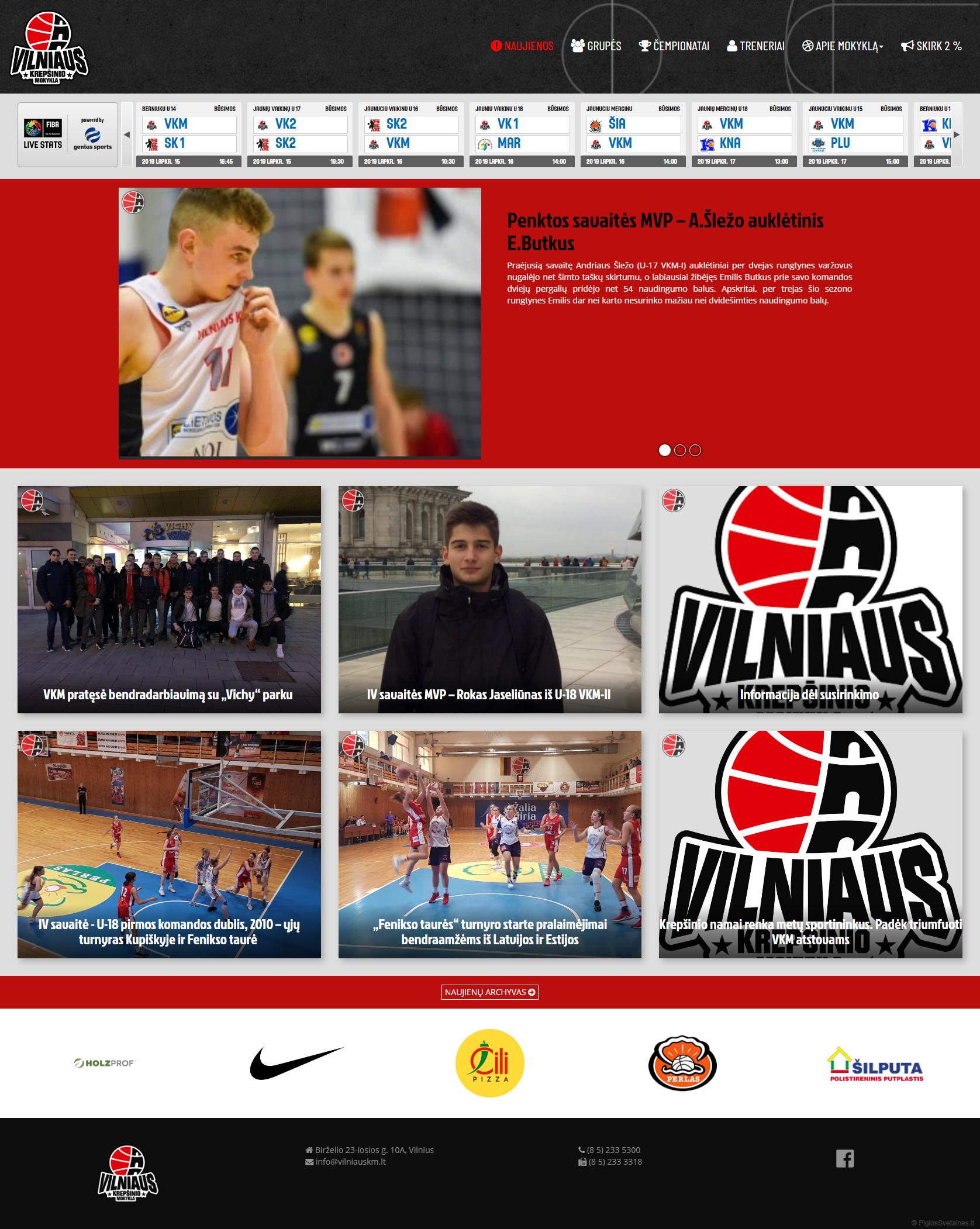 Krepšinio mokyklos interneto svetainės kūrimas